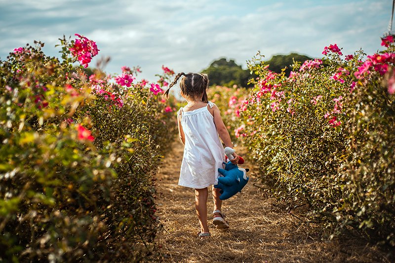 Banner de Priscilla Cezar