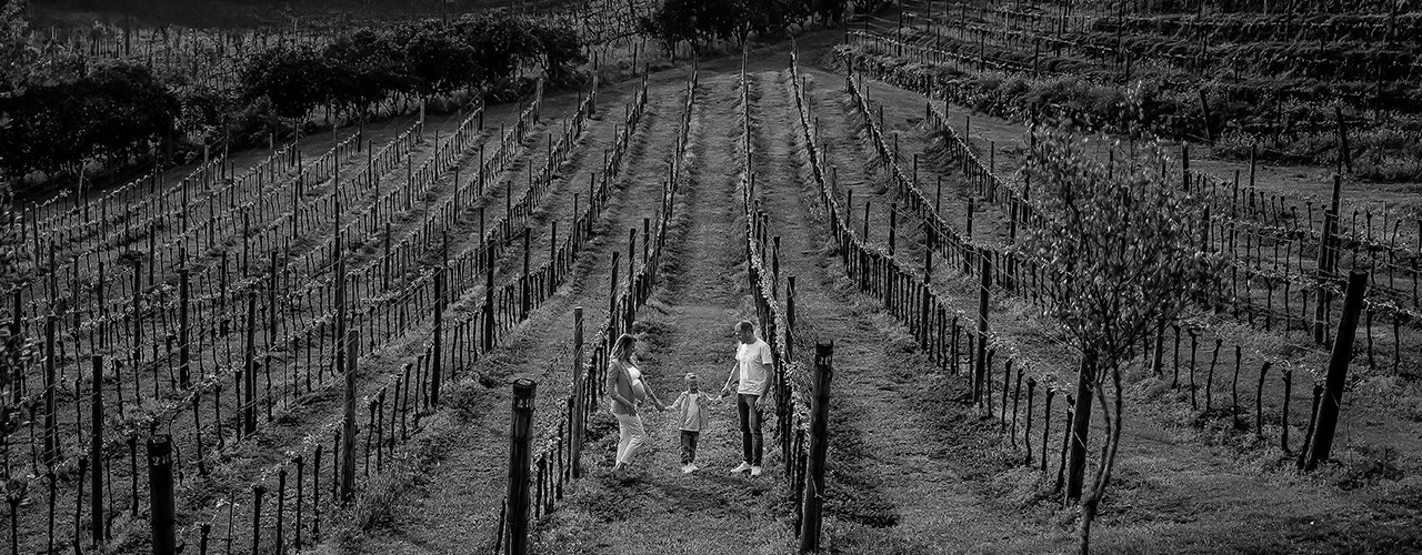 Banner de Greice Alana Scheibler